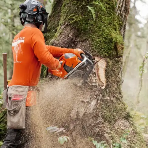Corrente 38 .058-1.5 72 ELOS S85 Husqvarna